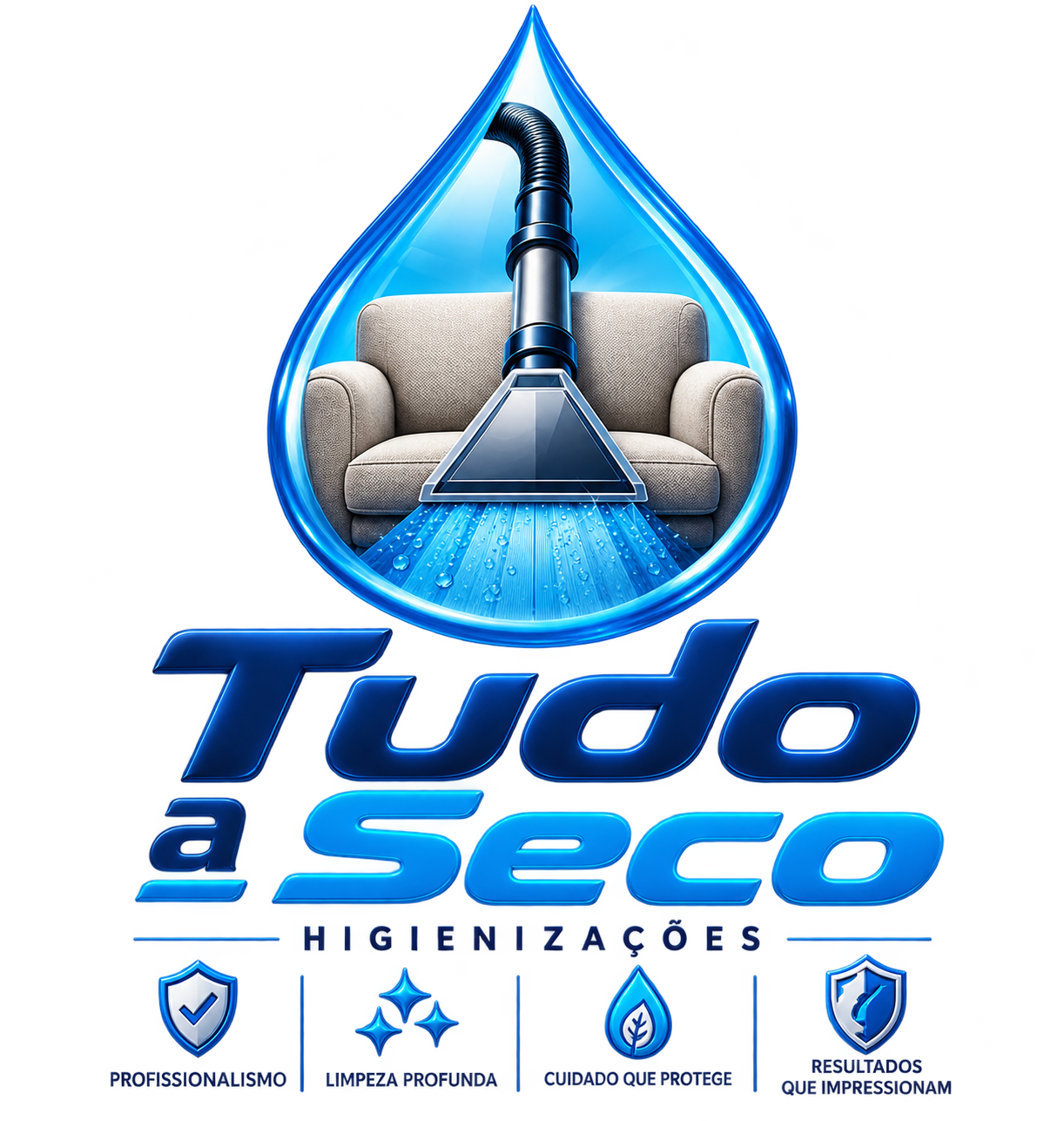 Logo Tudo a Seco Higienizações